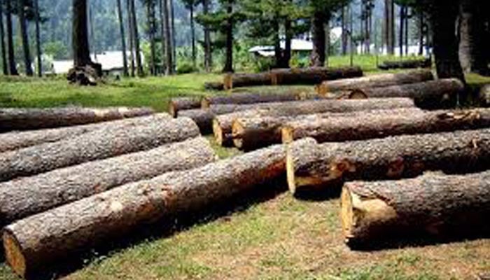 Biodiversity at risk