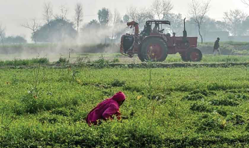 Traditional farming versus modern technology